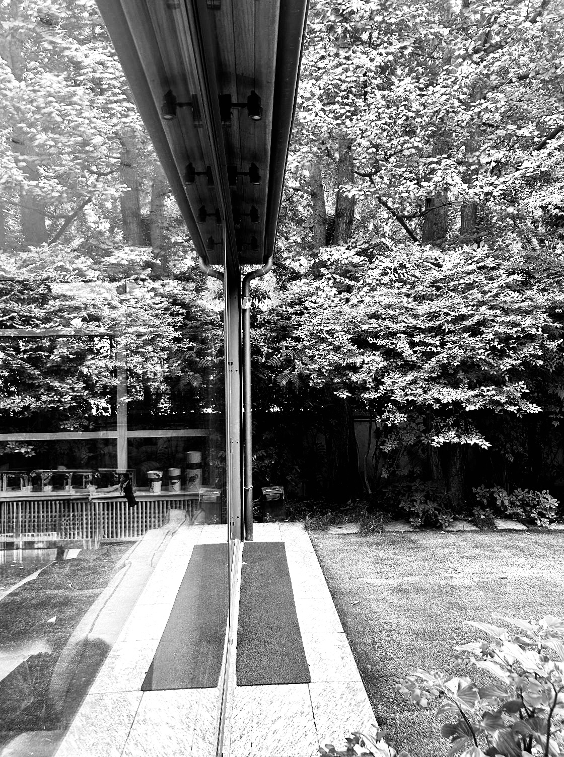 MilanoRavizza 4592 2